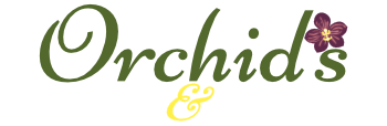Orchid's Landscaping & Development Charlotte Monroe NC